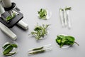 Safety food. Laboratory for food analysis. Herbs, greens under microscope on grey background top view Royalty Free Stock Photo