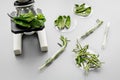 Safety food. Laboratory for food analysis. Herbs, greens under microscope on grey background top view Royalty Free Stock Photo