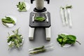 Safety food. Laboratory for food analysis. Herbs, greens under microscope on grey background top view Royalty Free Stock Photo