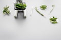 Safety food. Laboratory for food analysis. Herbs, greens under microscope on grey background top view copy space Royalty Free Stock Photo