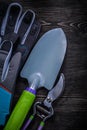 Safety gloves sharp secateurs trowel on wooden board Royalty Free Stock Photo