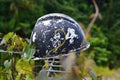 Safety helmet in forest Royalty Free Stock Photo