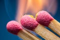 Safety match with red head. Royalty Free Stock Photo
