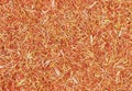 Safflower herbal texture for background