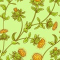 Safflower seamless pattern