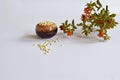 Safflower seeds and safflower stem with flowers