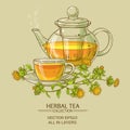 Safflower tea vector illustration Royalty Free Stock Photo