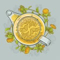 Safflower tea vector illustration Royalty Free Stock Photo