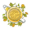 Safflower tea vector illustration Royalty Free Stock Photo