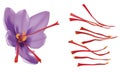 Saffron Royalty Free Stock Photo