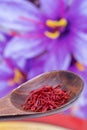Saffron background. Selective focus on red saffron spice threads or strands in a rustic wooden spoon against blurred safran crocus