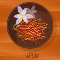 Saffron flat design vector icon. Royalty Free Stock Photo