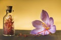 Saffron flower and dried saffron spice in a bottle Royalty Free Stock Photo