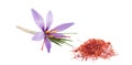 Saffron flower with stigmas Royalty Free Stock Photo