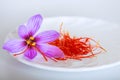 Saffron flower and saffron threads on a white plate on a white background Royalty Free Stock Photo