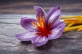 Saffron flower. Violet flower. AI Generated