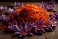 Saffron is a highly prized spice that is derived from the stigmas of the Crocus sativus flower Royalty Free Stock Photo