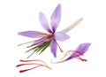 Saffron petal stigmas and flowers Royalty Free Stock Photo