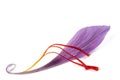 Saffron petal with stigmas Royalty Free Stock Photo