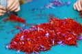 Saffron process, flower stamens and petals pile close up, hands separate crocus threads Royalty Free Stock Photo