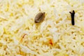 Saffron rice macro Royalty Free Stock Photo