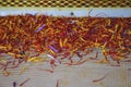 Saffron separation process, Crocus threads pile on separator, close up Royalty Free Stock Photo