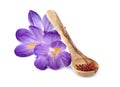 Saffron spice with flowers in closeup Royalty Free Stock Photo
