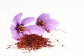 Saffron spice and Saffron flowers