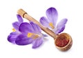 Saffron spice in wooden spoon with flowers in closeup Royalty Free Stock Photo