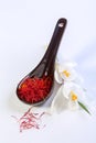Saffron threads and white crocus flowers Royalty Free Stock Photo
