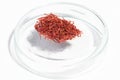 Safron spice macro isolated on glass bowl Royalty Free Stock Photo