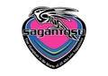 Sagan Tosu Logo