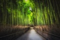 Sagano Bamboo Forest, Arashiyama, Kyoto, Japan Royalty Free Stock Photo