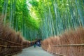 Sagano Bamboo Forest. Japanese trees. Royalty Free Stock Photo