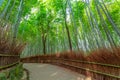 Sagano Bamboo Forest Royalty Free Stock Photo