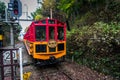 SAGANO SCENIC RAILWAY, ROMANTIC TRAIN