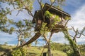 Sagbayan, Bohol, Philippines - Two rustic treehouses connected by a hanging bridge. One of the attractions at Captain\'s