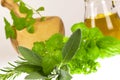 Sage,Basil,Parsley and Mint,isolated on white