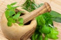 Sage,Basil,Parsley and Mint,isolated on white