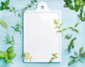 Sage, basil, rosemary, melissa and mint on blue background with copy space