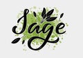 Sage black word on green watercolor background