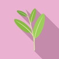 Sage cedar icon flat vector. Mint tea