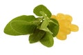 Sage cough drops Royalty Free Stock Photo