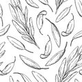 Sage drawing seamless pattern. Isolated sage plant with l