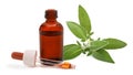 Sage with essence bottle Royalty Free Stock Photo