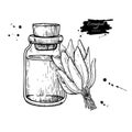 Sage essential oil bottle and sage leaves hand drawn vector illustration. Isolated plant drawing for Aromatherapy