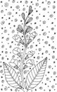 Sage - flower illustration. Black and white ink floral drawing. Coloring book for adults. Line art. Vector artwork