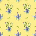 Sage herbal plant, bidens tripartita watercolor seamless pattern isolated on beige background. Salvia, nettle, camomile