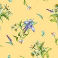 Sage herbal plant, bur-marigold watercolor seamless pattern isolated on yellow background. Salvia, nettle, chamomile