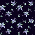 Sage herbal plant watercolor seamless pattern isolated on black background. Salvia officinalis, purple leaves, useful